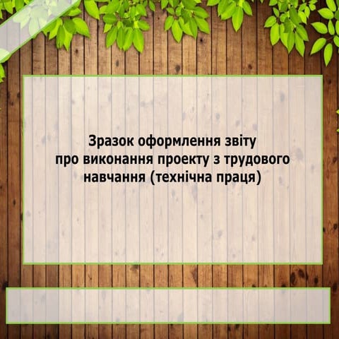 Зразок оформлення звіту по проекту