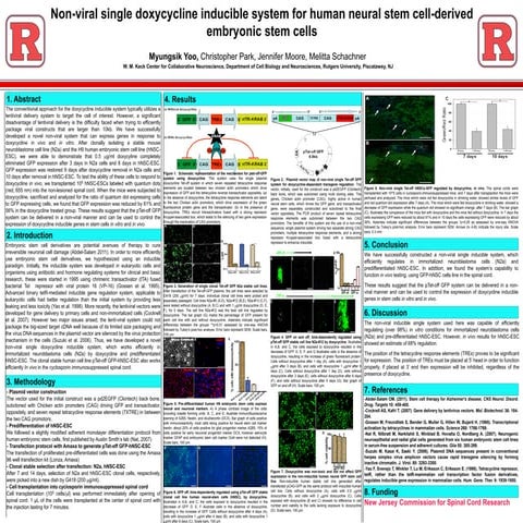 NJ Stem Cell Symposium 2011 Abstract