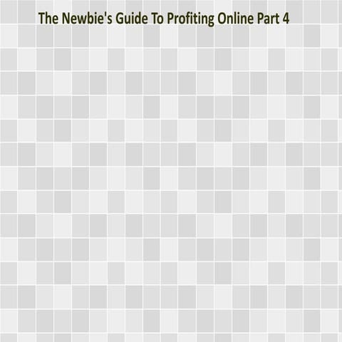 The Newbie's Guide To Profiting Online Part 4