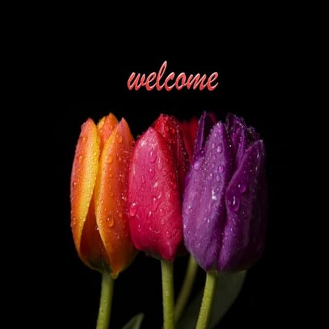 7936 different models of collaboration between nursign education and service [1]