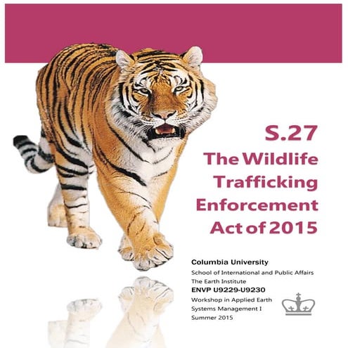 Summer 2015 Final Report - S.27