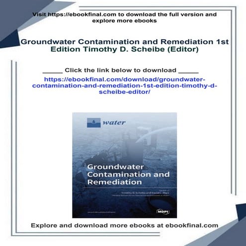 Groundwater Contamination and Remediation 1st Edition Timothy D ...