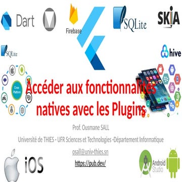 799230066-4-Acceder-aux-fonctionnalites-natives-avec-les-Plugins.pptx