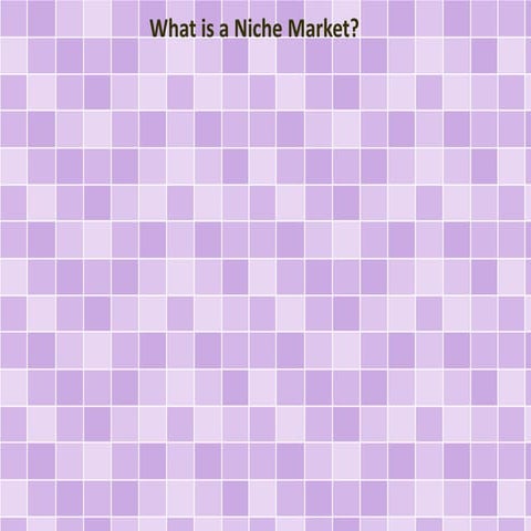 What is a Niche Market?