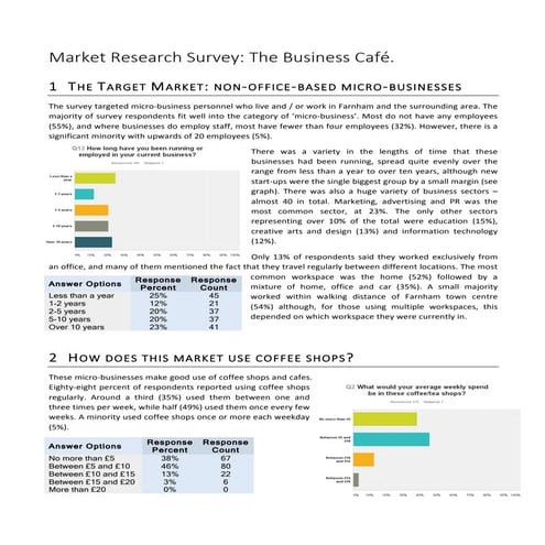 The Business Café Survey Report | PDF