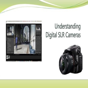 Understanding DSLR Cameras