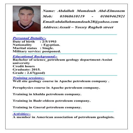 c.v for petroleum companies