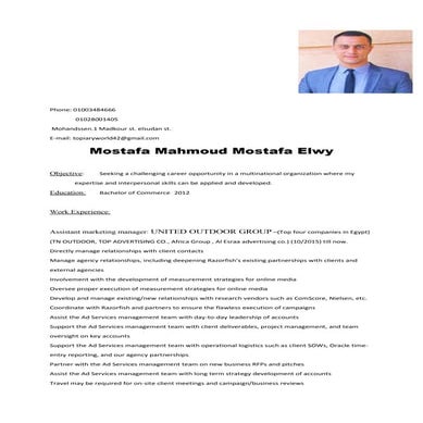 Mostafa Elwy.  c.v