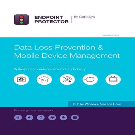 DLP and MDM Datasheet