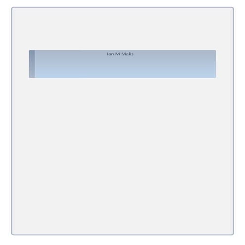 Capstone Final_Ian Malis-1