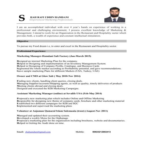 Rafi Hamdani CV | PDF