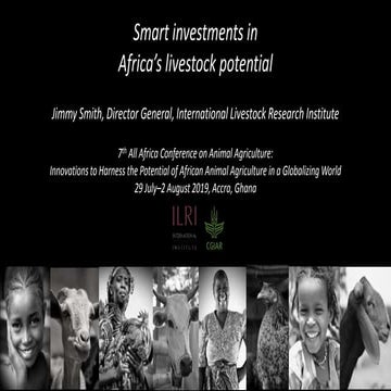 Smart investments in Africa’s livestock potential 