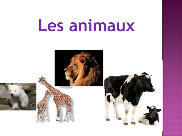Les Animaux Malefemalecri