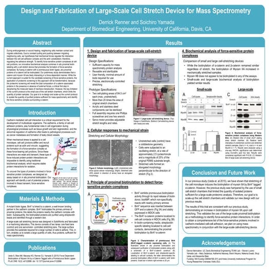 Renner_D_Lrg_cellstretch_device