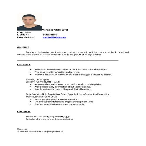 SARA CV (2) | PDF