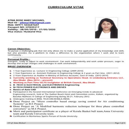 Cv Syed Muhammad Abbas | DOCX