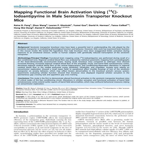 mapping functional brain activation using iodoantipyrine in male serotonin tr...