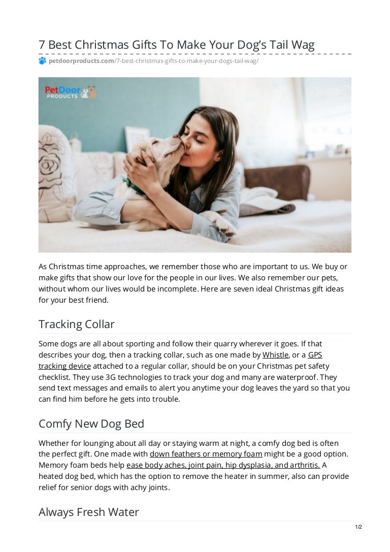 remembering your dog gifts