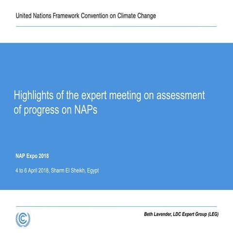 7b highlights of the expert meeting to assess progress on na ps