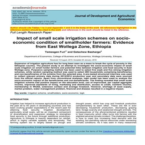 Furi and Bashargo (1)