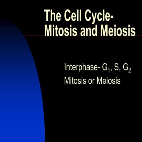 [7] CELL CYCLE _MITOSIS & MEIOSIS.ppt