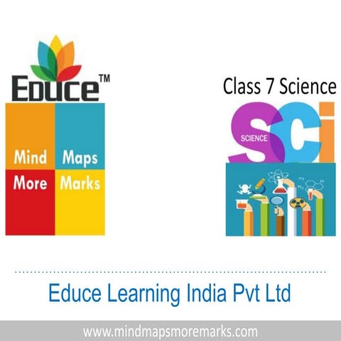 7 class science sample mindmaps