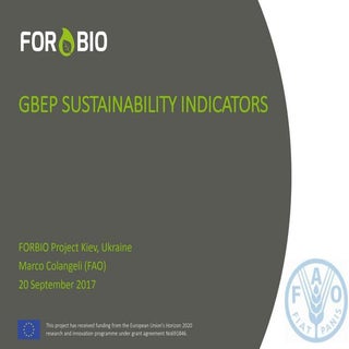 GBEP sustainability indicators. Sus...