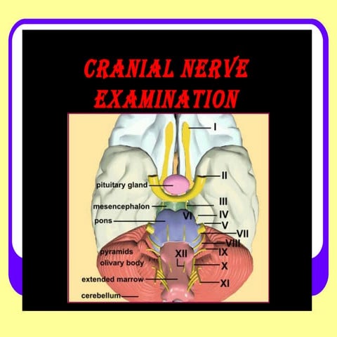 Cranial nerve examination