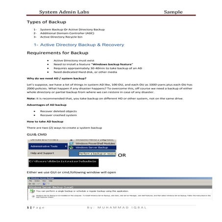 Dns backup and recovery in windows server 2012 r2 | DOCX