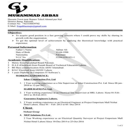 Ali Raza CV | PDF