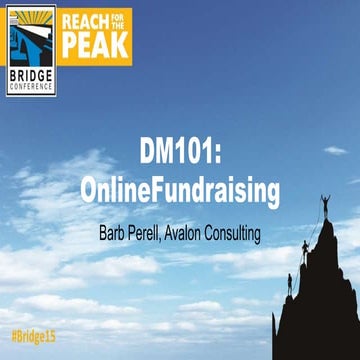 DM101: Online Fundraising (Avalon Consulting)