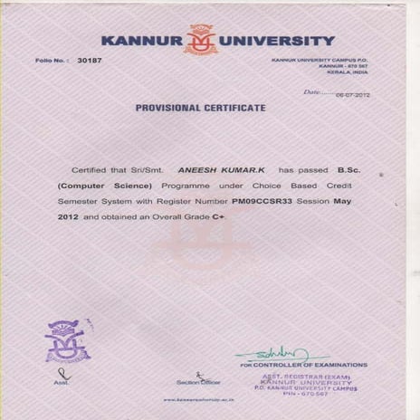 PROVISIONAL CERTIFICATE | PDF
