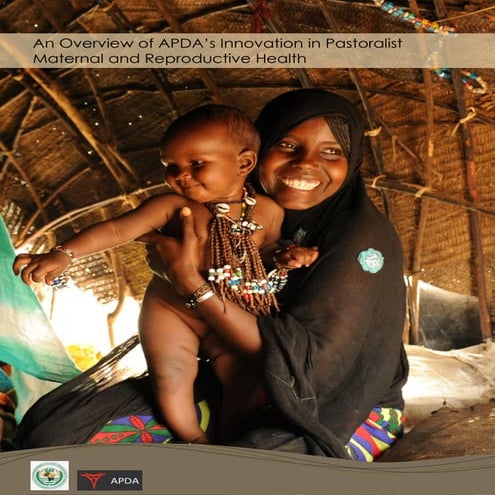 APDAs Innovation Maternal Health FINAL DRAFT online distribution