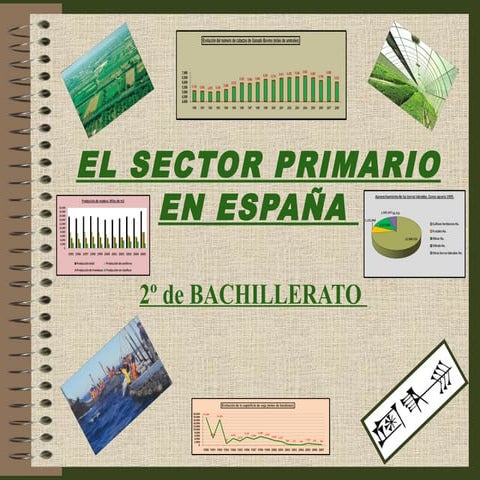 7. El  sector  primario  en  España