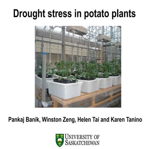 Oral talk in 'Green Trade' 2013