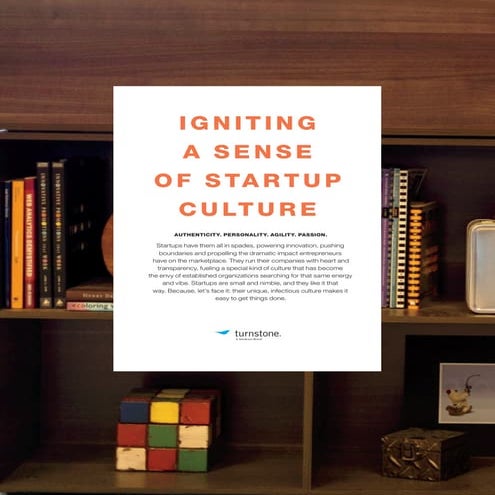 Igniting_Startup_Culture_email_version