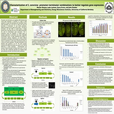 Poster NIH summer 2013