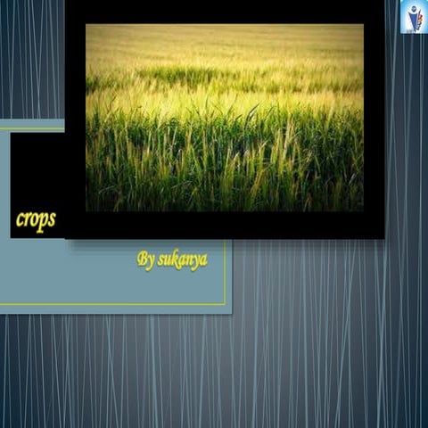 crops ppt