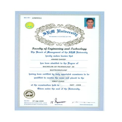 Degree Certificate - Bachelor's
