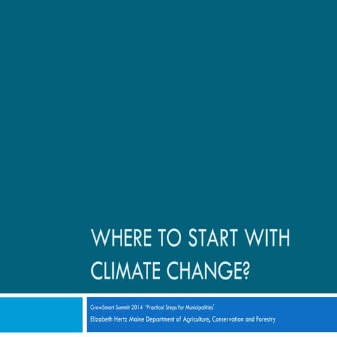 Where to Start With Climate Change - GSMSummit 2014, Liz Hertz