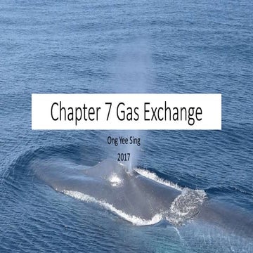 Chapter 7 gas exchange Senior 1 Biology 独中高一生物