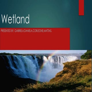 Wetlands