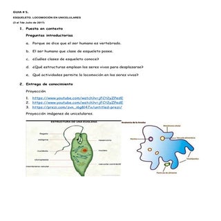7 guia#6 tercer periodo biología sé...