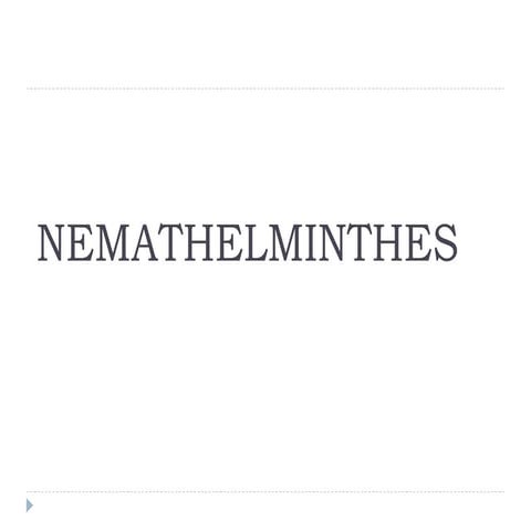 Nemathelminthes