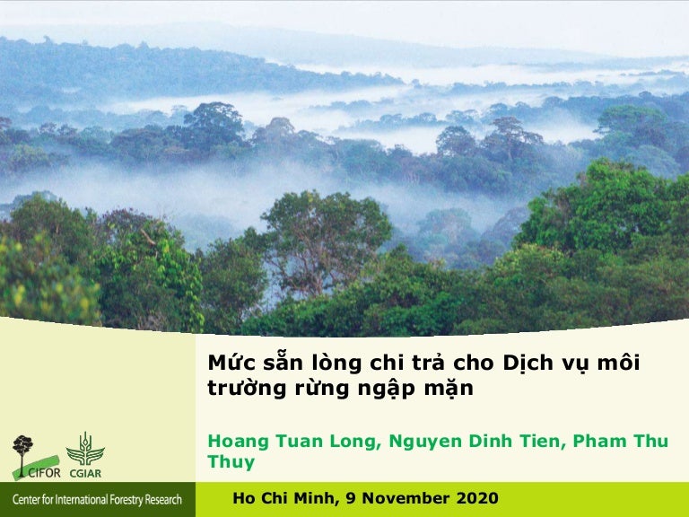 thumbnail of  Mức sẵn lòng chi trả cho dịch vụ môi trường rừng ngập mặn