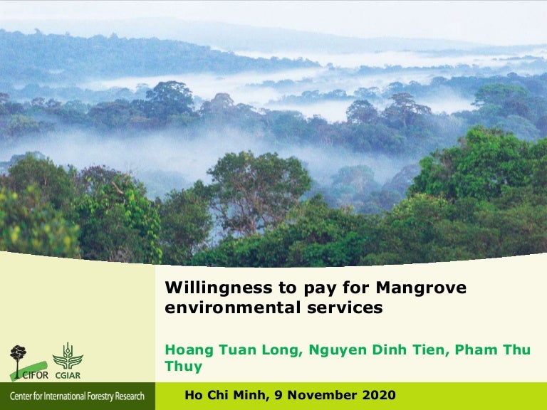 thumbnail of  Willingness to Pay for Mangrove Environmental Services