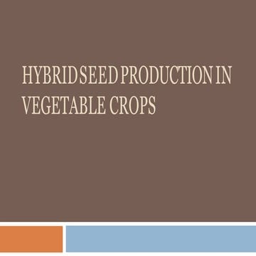 Hybrid seed-production-in-vegetables