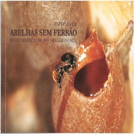 Abelhas sem ferrão no RS