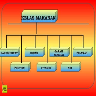 7 kelas makanan