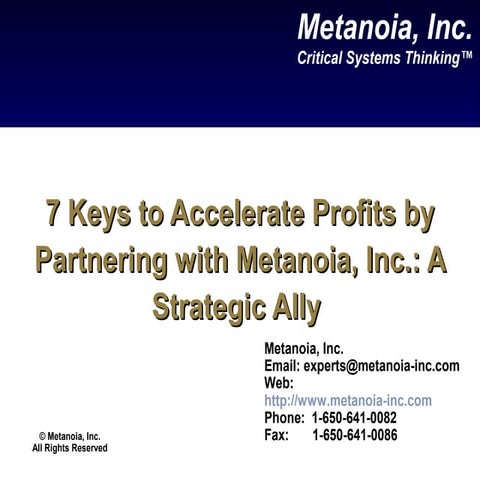7 Keys to Accelerate Profits by Partnering with Metanoia, Inc.